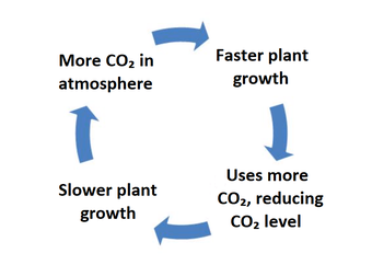 CO2 / plant feedback loop diagram