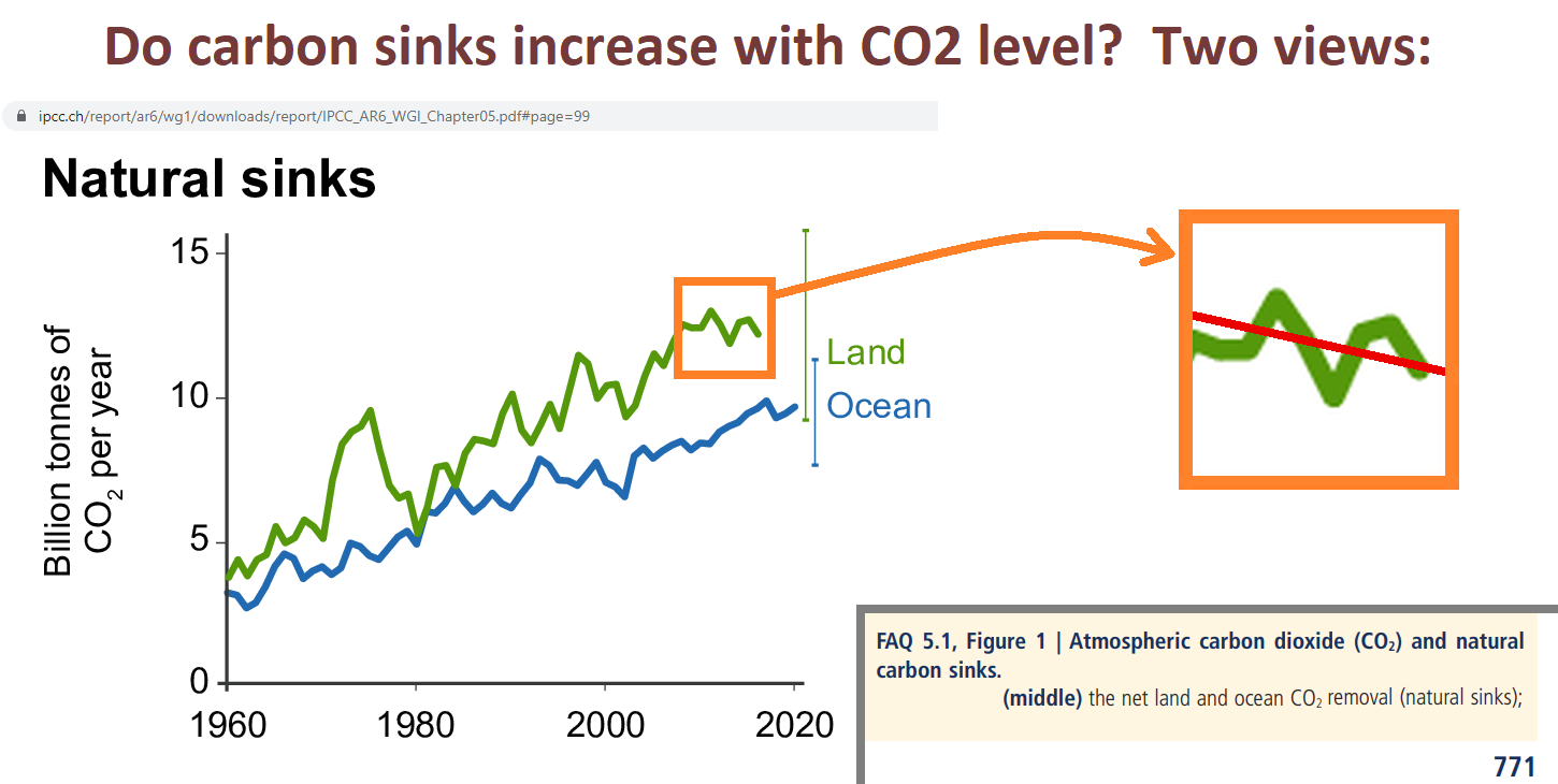 How big is the “carbon fertilization effect”?