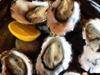 Supplied Editorial Fwd: May 30 snap Freycinet oysters