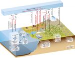 AR5 Fig. 6.1 Simplified schematic of the global carbon cycle.